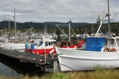 IMG_0081-pb
