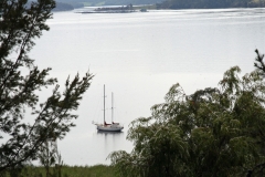 IMG_0088-pb