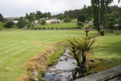 IMG_0821-pb