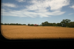 IMG_7764-pb