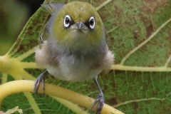 3O0A3261ab-web