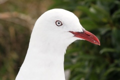 3O0A7174a-web
