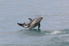 3O0A7548a-web