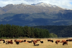 New Zealand South Island